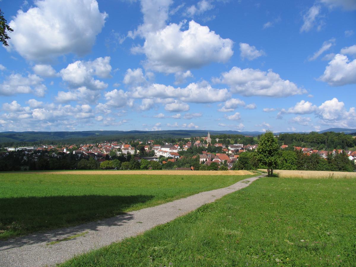 בונדורף אים שוורצוואלד Moehringers Schwarzwald Hotel מראה חיצוני תמונה